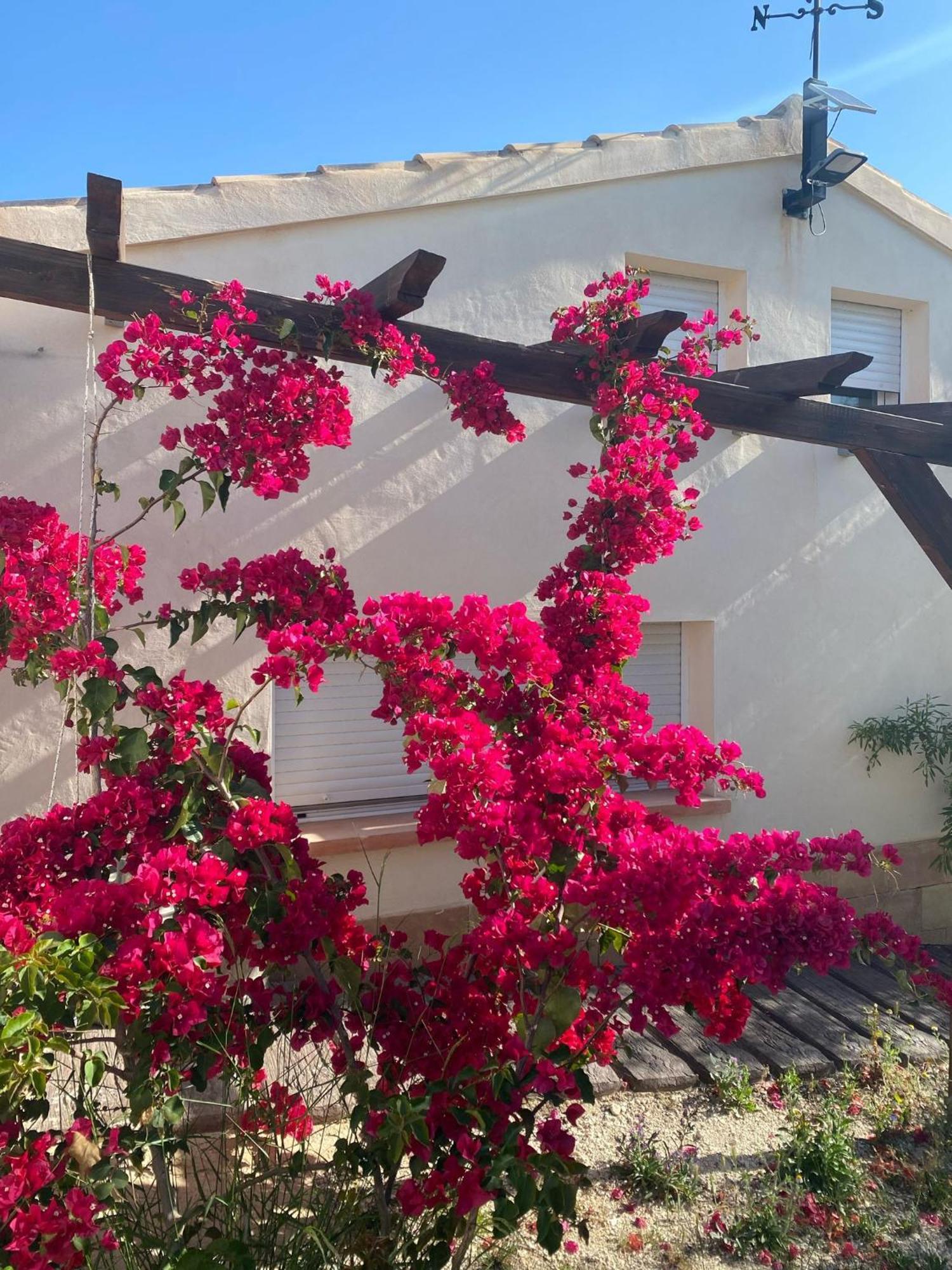 Casaruibella Villa Моратала Екстериор снимка
